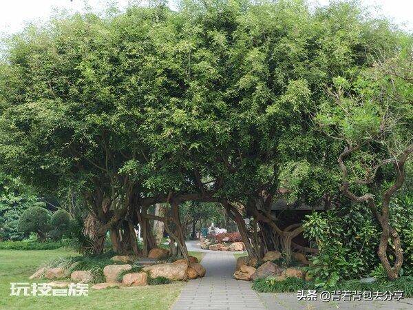 广西景点排行榜前十名(去广西值得去玩的十大景区介绍)-图片5